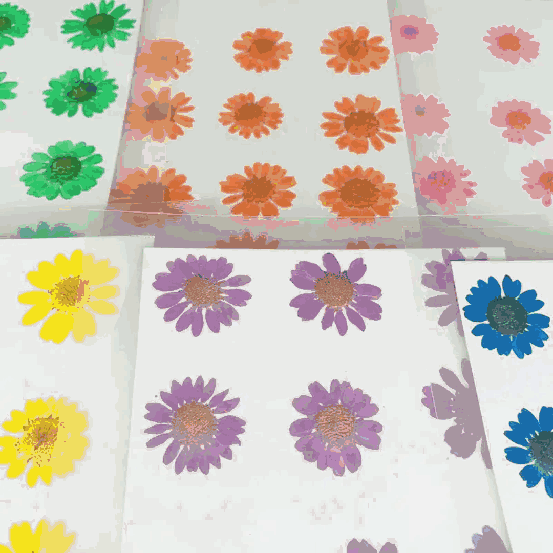 Pressed Flowers Single color pack