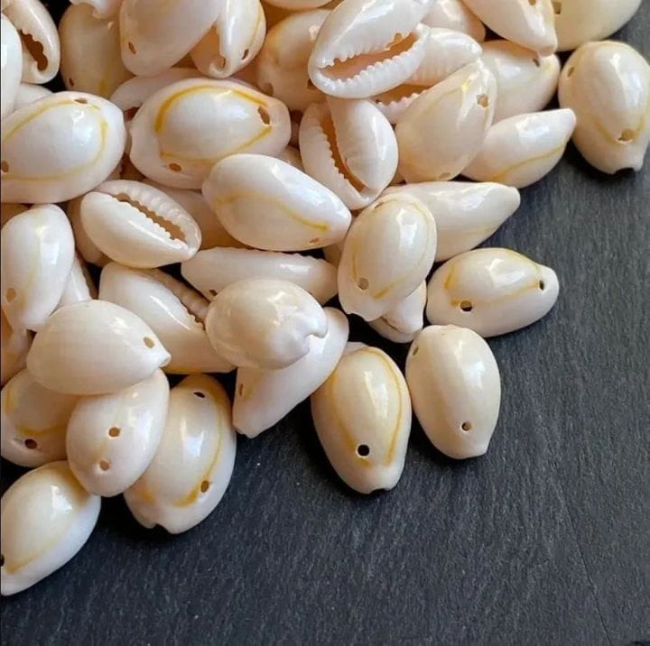 Natural Sea Shell Beads for Resin Art, Jewelry Making & DIY Decoration
