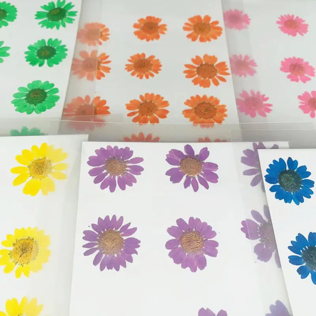 Pressed Flowers Single color pack