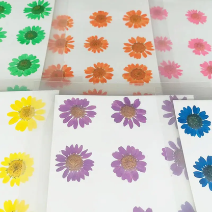 Pressed Flowers Single color pack